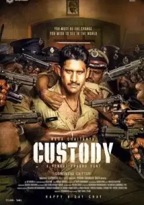 Custody (2023) Hindi Dubbed AMZN