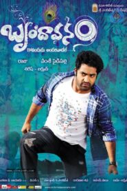 The Super Khiladi (Brindaavanam) (2010) Hindi Dubbed
