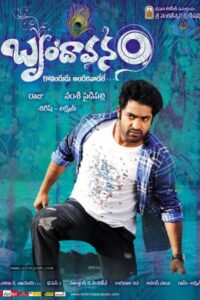 The Super Khiladi (Brindaavanam) (2010) Hindi Dubbed