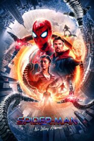 Spider Man No Way Home (2022) Hindi Dubbed