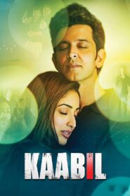 Kaabil (2017) Hindi HD Netflix