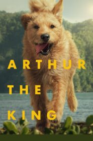 Arthur the King (2024) Hindi Dubbed