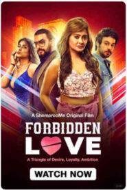 Love Forbidden Love (2024) Hindi HD