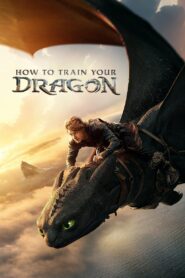 How to Train Your Dragon (2025) Hindi HD