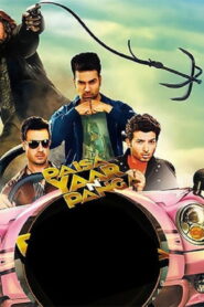 Paisa Yaar N Panga (2014) Hindi HD