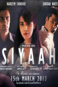 Siyaah (2013) Hindi HD