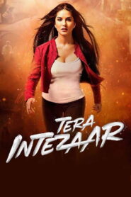 Tera Intezaar (2017) Hindi HD