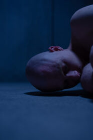 Incarnation (2023) Hindi HD
