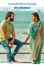 Vunnadhi Okate Zindagi (2017) Hindi HD