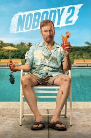 Nobody 2 (2025) Hindi HD