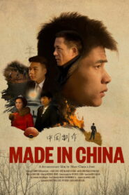Made in China (2020) Hindi HD
