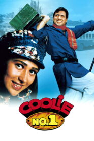 Coolie No. 1 (1995) Hindi HD