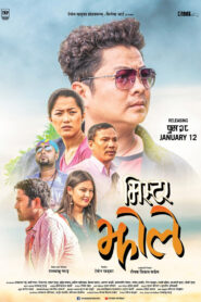 Mr. Jholay (2018) Hindi HD