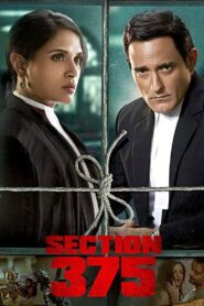 Section 375 (2019) Hindi Dubbed