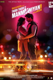 Thodi Thodi Si Manmaaniyan (2017) Hindi HD