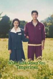 When Life Gives You Tangerines (2025) Hindi Season 1 Complete
