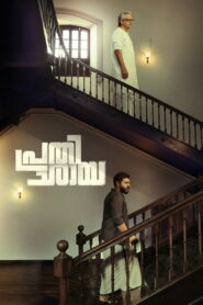 Prathichaya (2026) Hindi Dubbed CAMRip