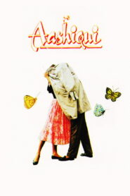 Aashiqui (1990) Hindi HD