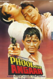 Phool Aur Angaar (1993) Hindi HD