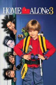 Home Alone 3 (1997) Hindi Dubbed