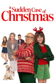 A Sudden Case of Christmas (2024) Hindi Dubbed