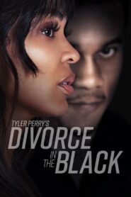 Tyler Perry’s Divorce in the Black (2024) Hindi Dubbed