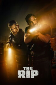The Rip (2026) Hindi Dubbed