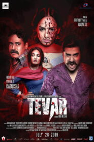 Tevar (2019) Hindi HD