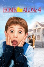 Home Alone 4 (2002) Hindi Dubbed