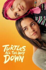Turtles All the Way Down (2024) Hindi Dubbed