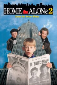 Home Alone 2: Lost in New York (1992) Hindi Dubbed