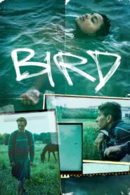 Bird (2024) Hindi Dubbed