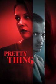Pretty Thing (2025) Hindi Dubbed