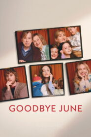 Goodbye June (2025) Hindi Dubbed