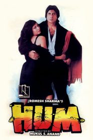 Hum (1991) Hindi HD