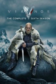 Vikings (2020) Hindi Season 6 Complete