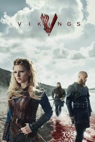 Vikings (2016) Hindi Season 4 Complete