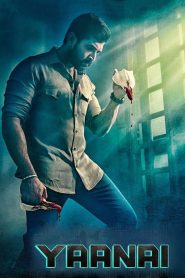 Yaanai (2022) Hindi Dubbed ZEE5