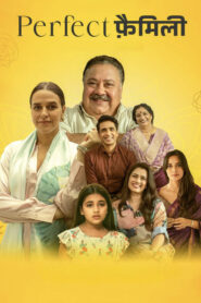 Perfect Family (2025) Hindi Season 1 Complete
