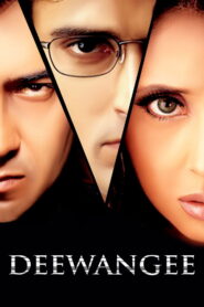 Deewangee (2002) Hindi HD AMZN