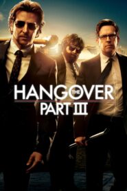 The Hangover Part III (2013) Hindi Dubbed